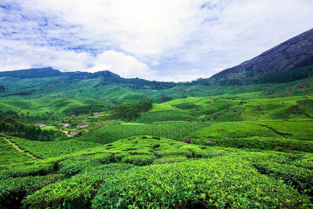 Munnar